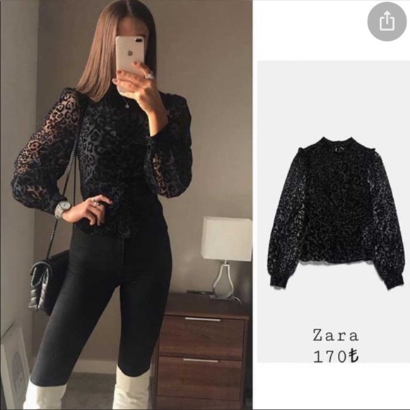 Zara NWT organza blouse - Picture 2 of 10